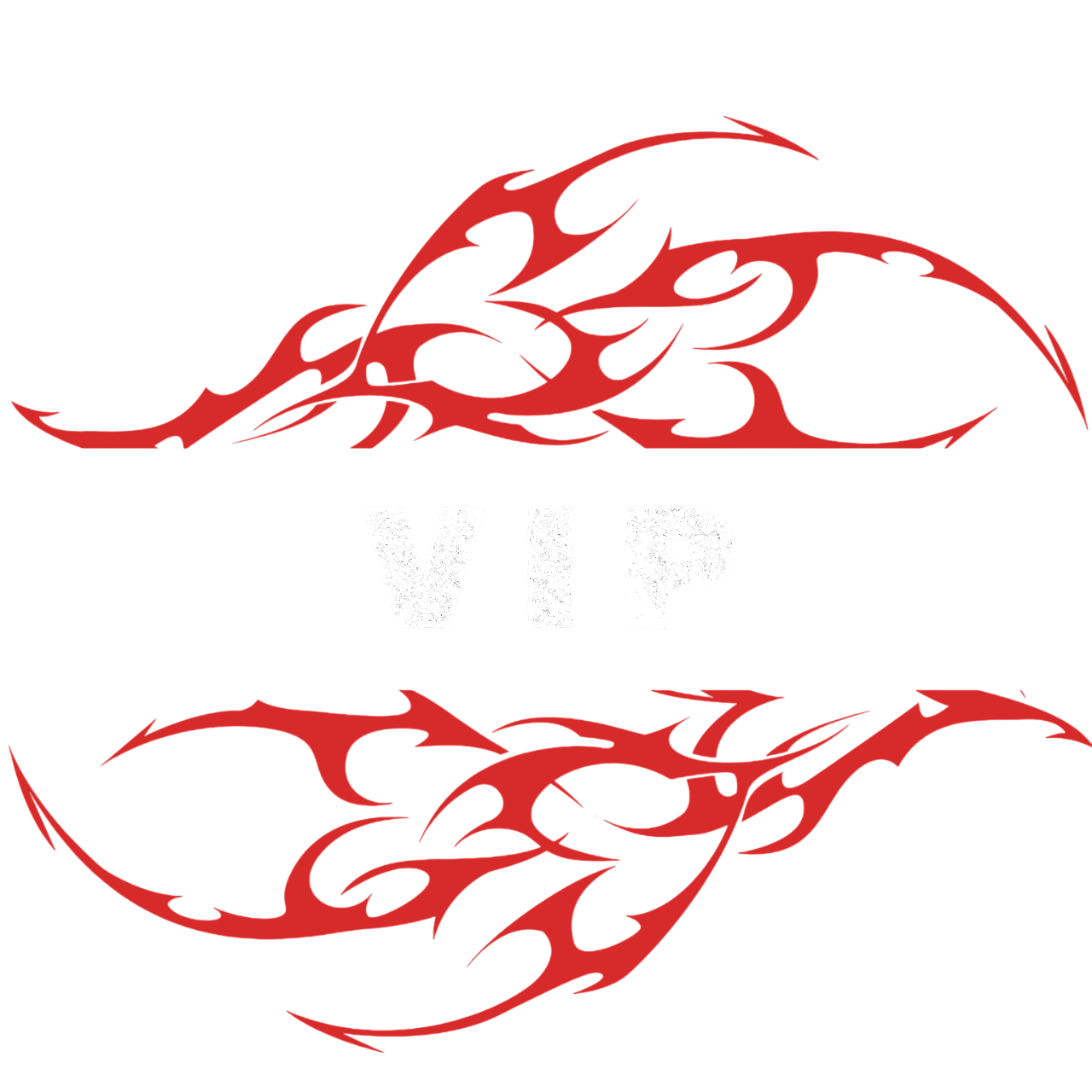 VIP 24 години