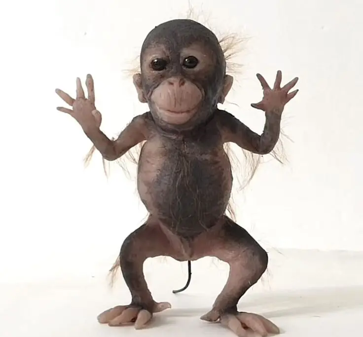 че смотрите